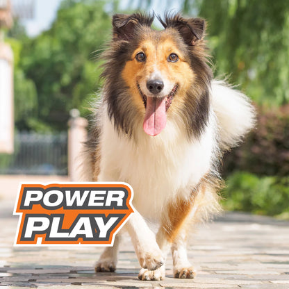 Power Play Crazy-Ball Dog Toy, Dog Balls, Interactive Dog Toys, Large